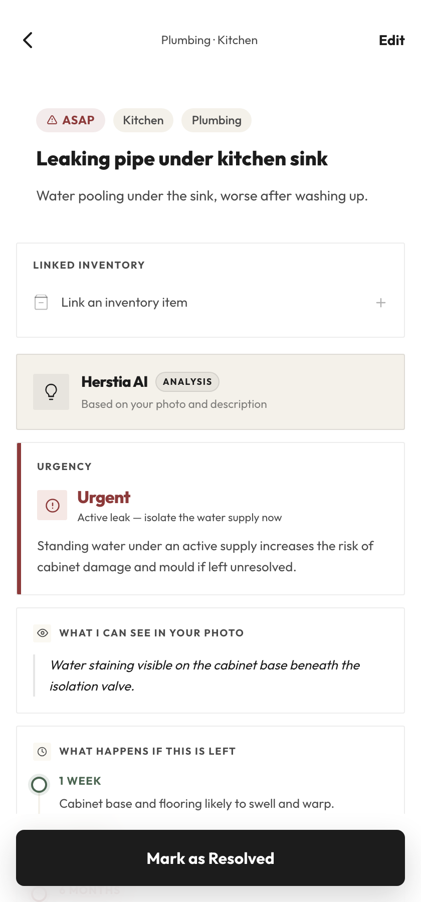 Herstia AI diagnosis for a leaking pipe, showing urgency, likely cause, and what happens if it's left